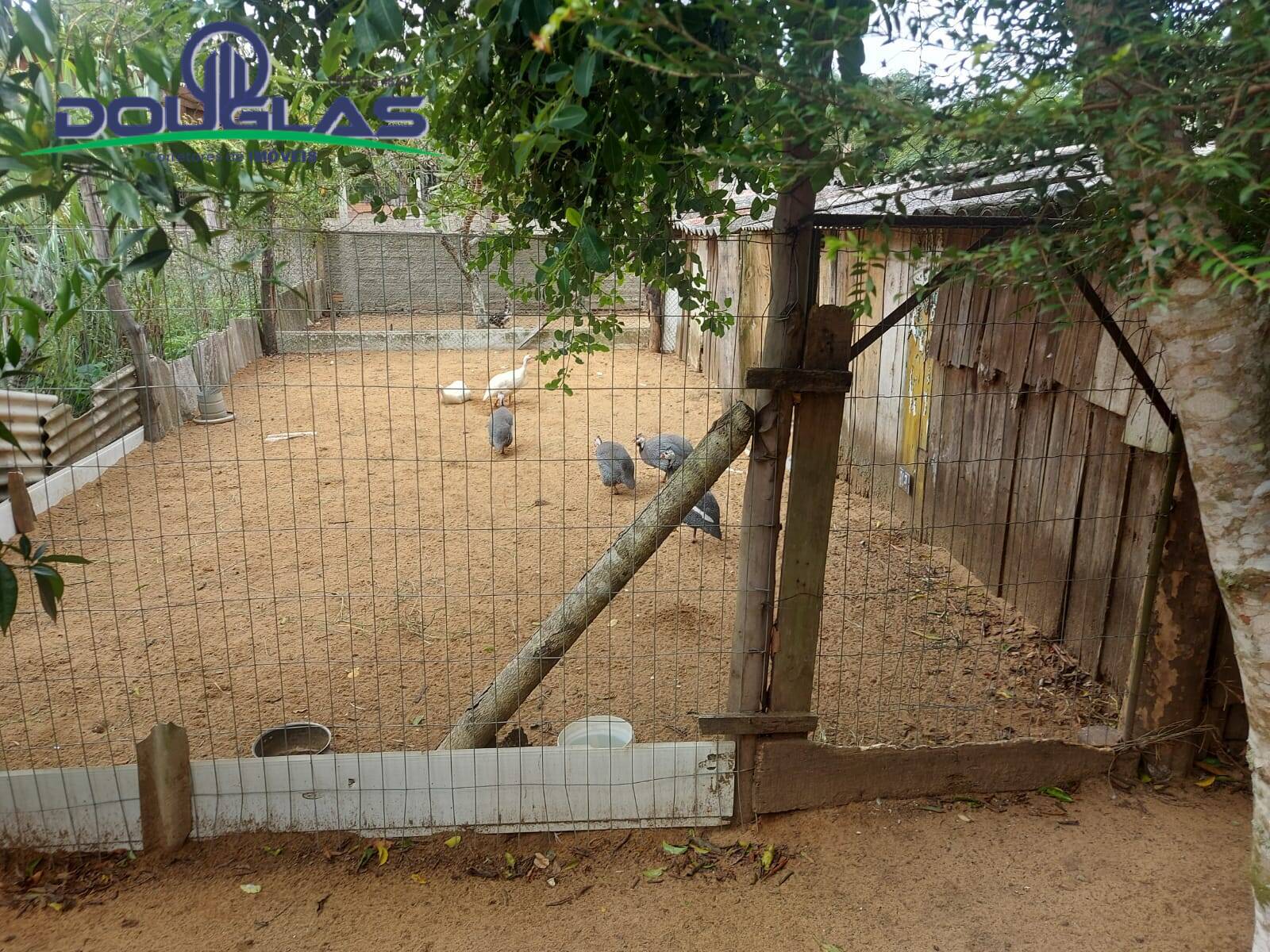 Casa, 2 quartos - Foto 11