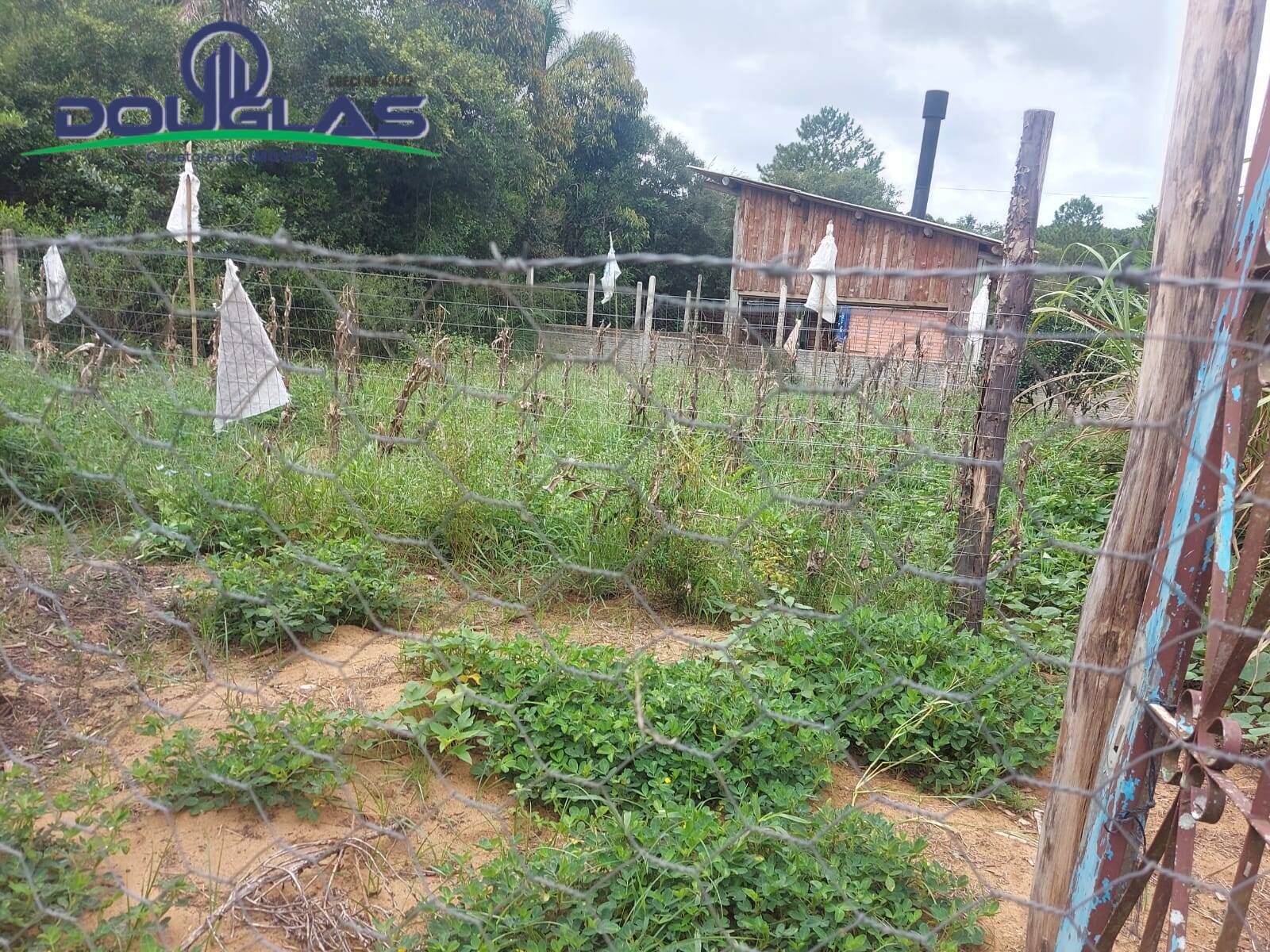 Casa, 2 quartos - Foto 12