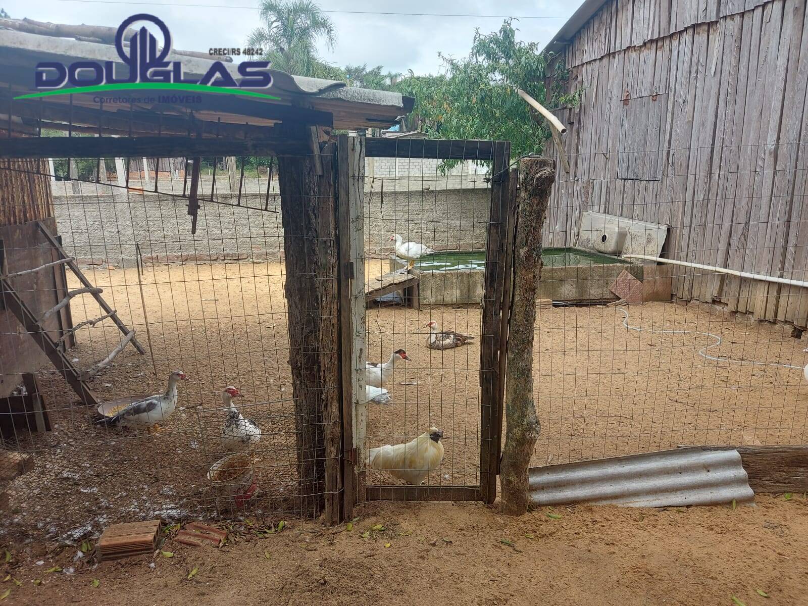 Casa, 2 quartos - Foto 16