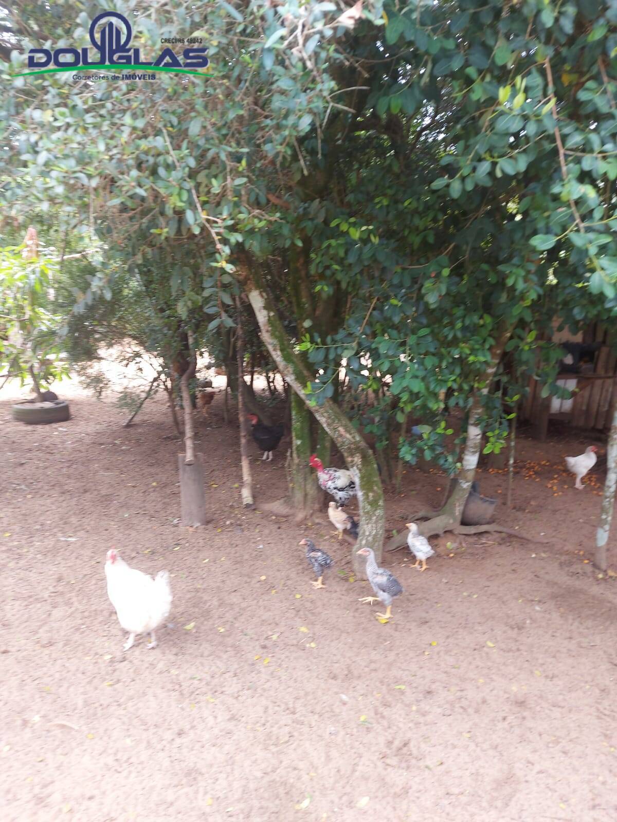 Casa, 2 quartos - Foto 17