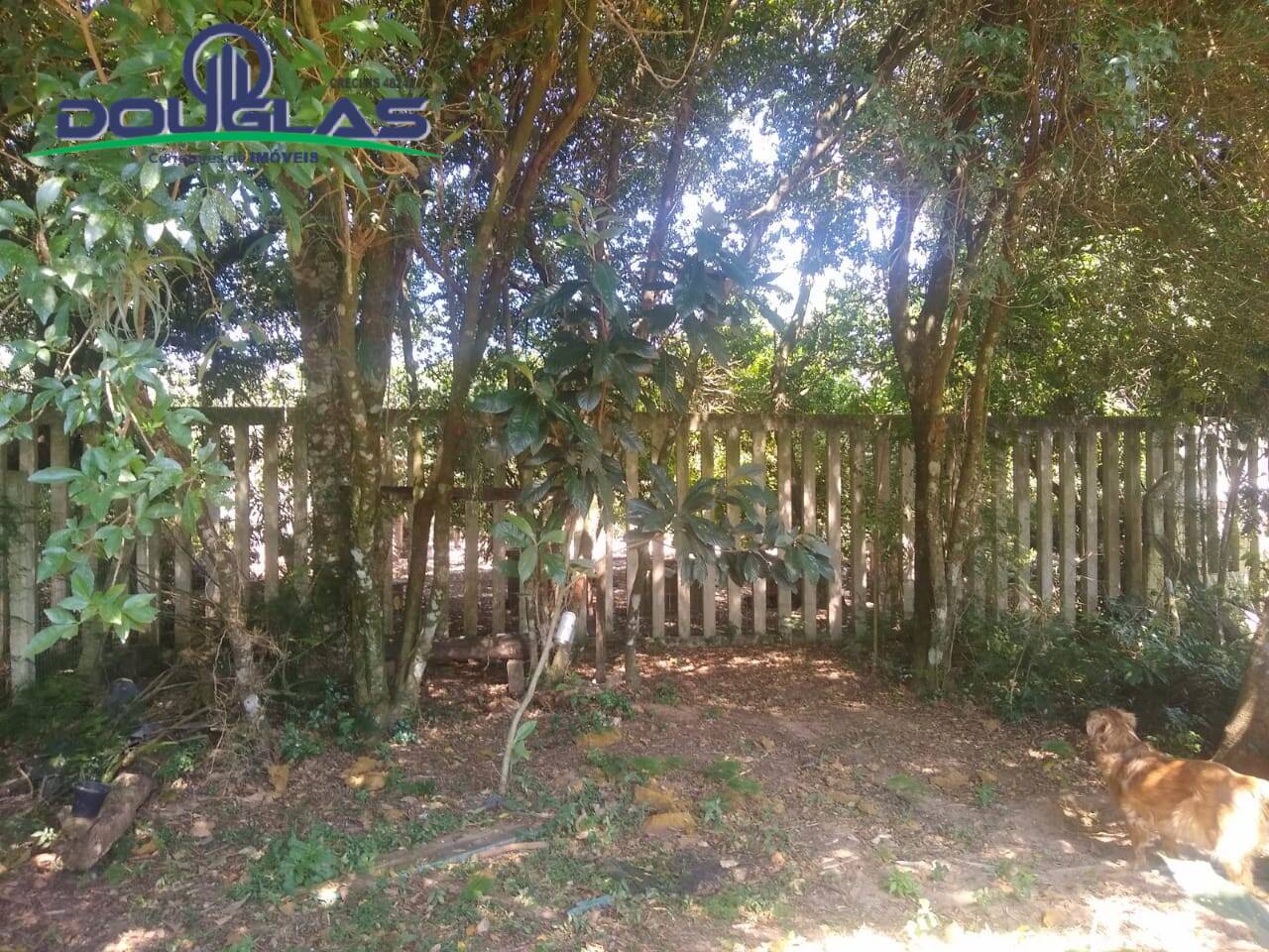 Casa, 2 quartos - Foto 15