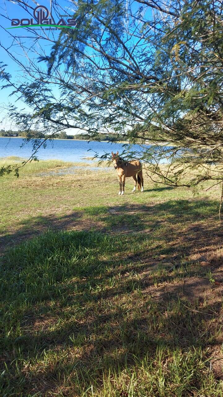 Terreno, 1000 m² - Foto 1