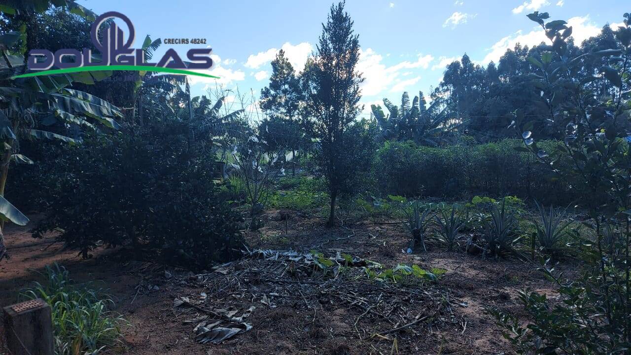 Sítio, 3 quartos, 10000 m² - Foto 2