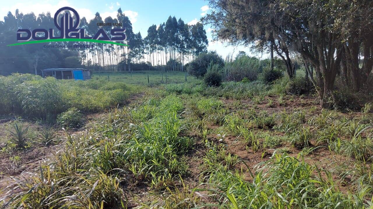 Sítio, 3 quartos, 10000 m² - Foto 3