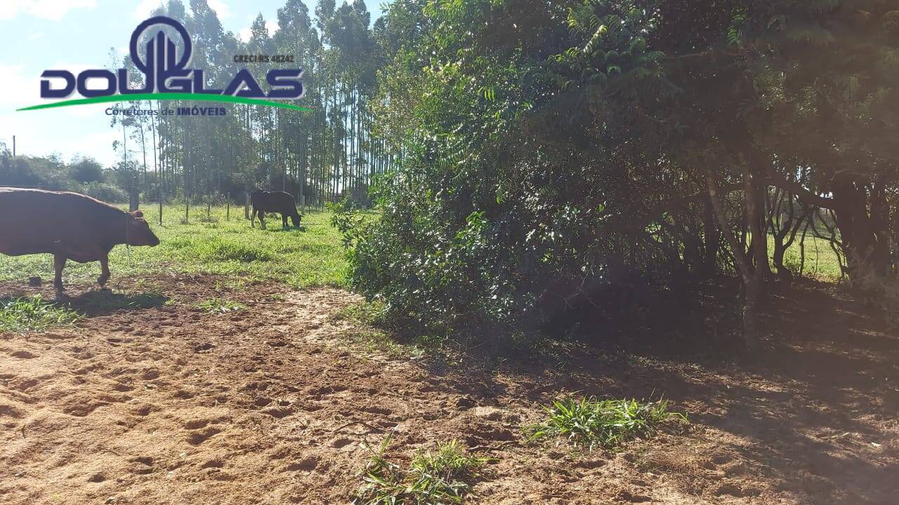 Sítio, 3 quartos, 10000 m² - Foto 20