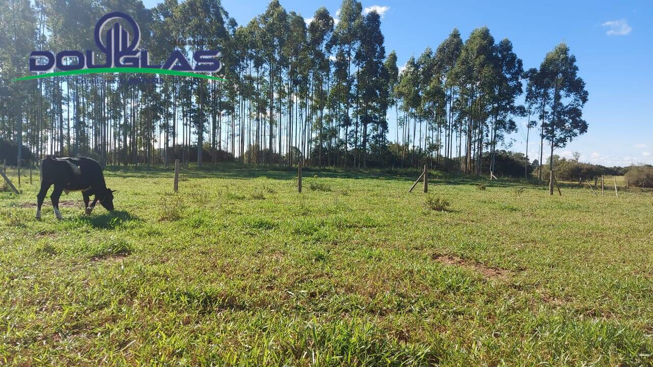 Sítio, 3 quartos, 10000 m² - Foto 23