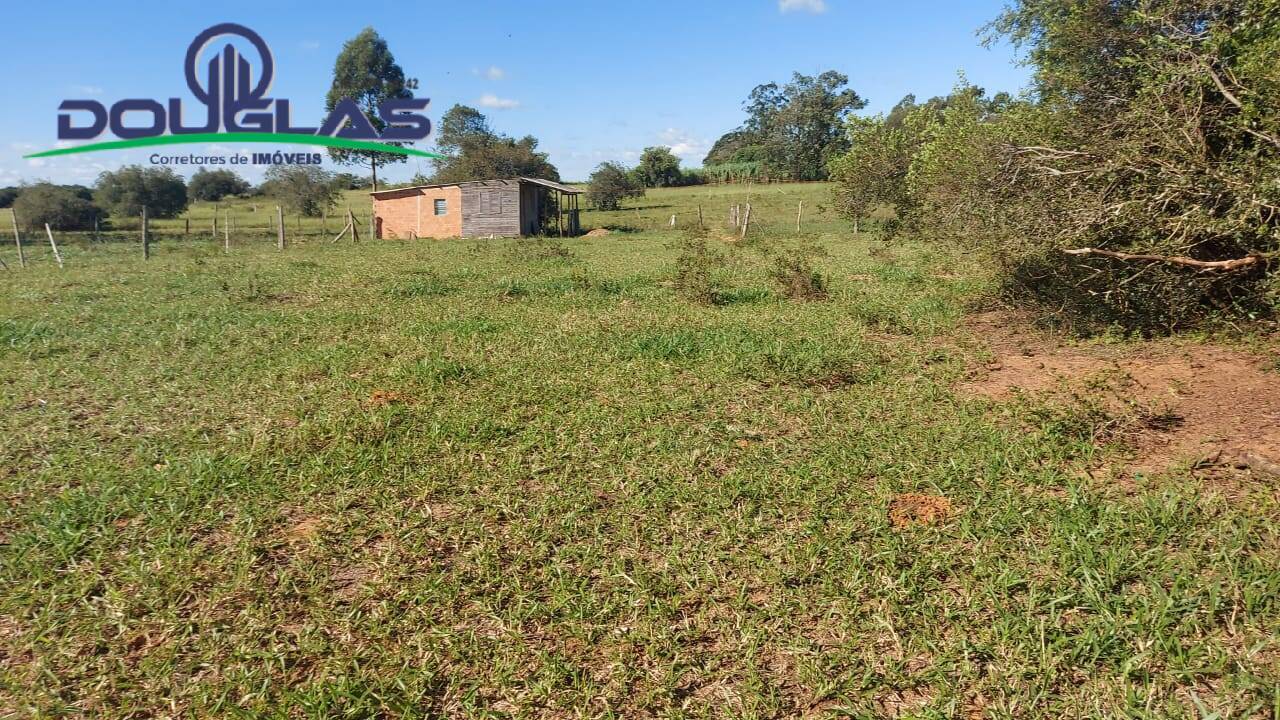 Sítio, 3 quartos, 10000 m² - Foto 24