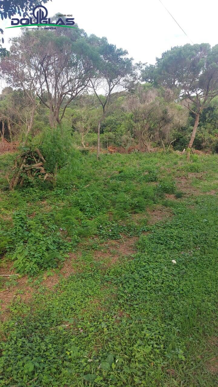 Terreno, 2000 m² - Foto 1