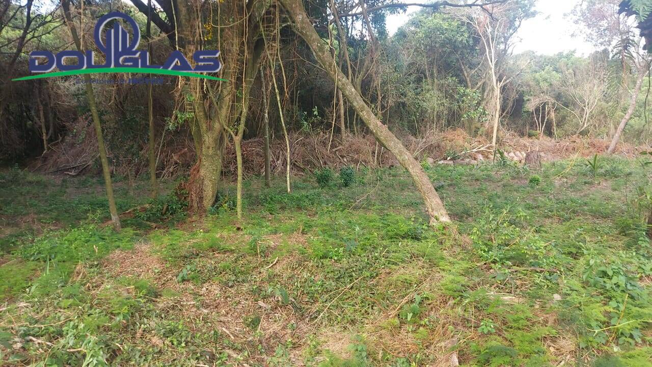 Terreno, 2000 m² - Foto 3