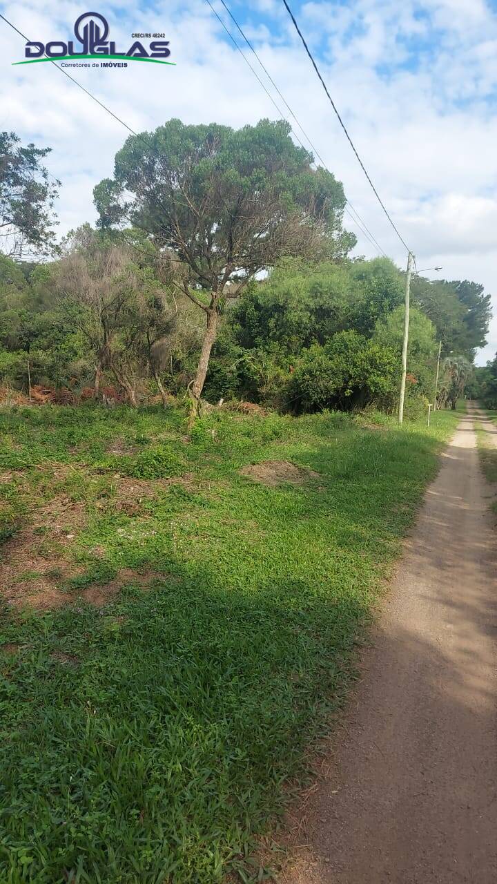 Terreno, 2000 m² - Foto 4