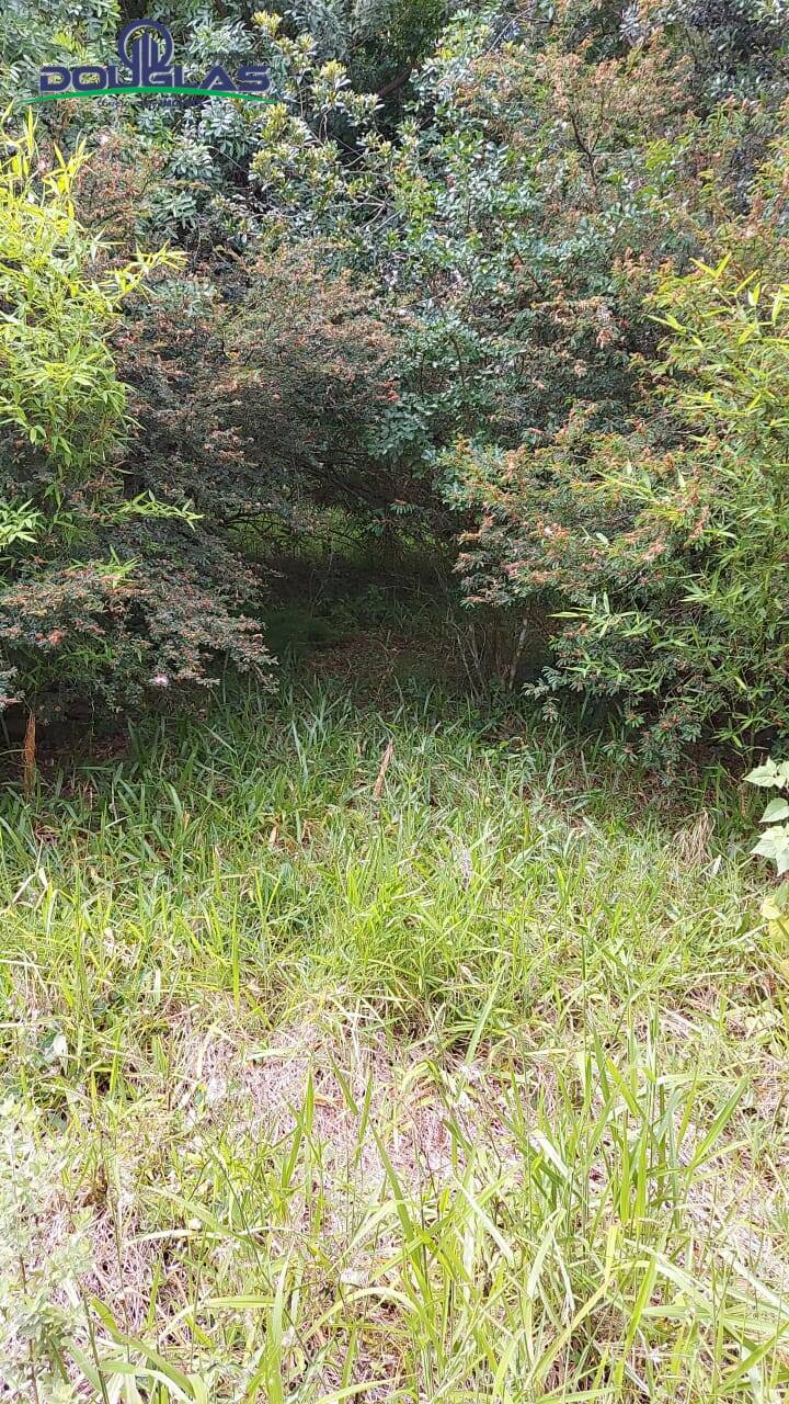 Casa, 2 quartos - Foto 14