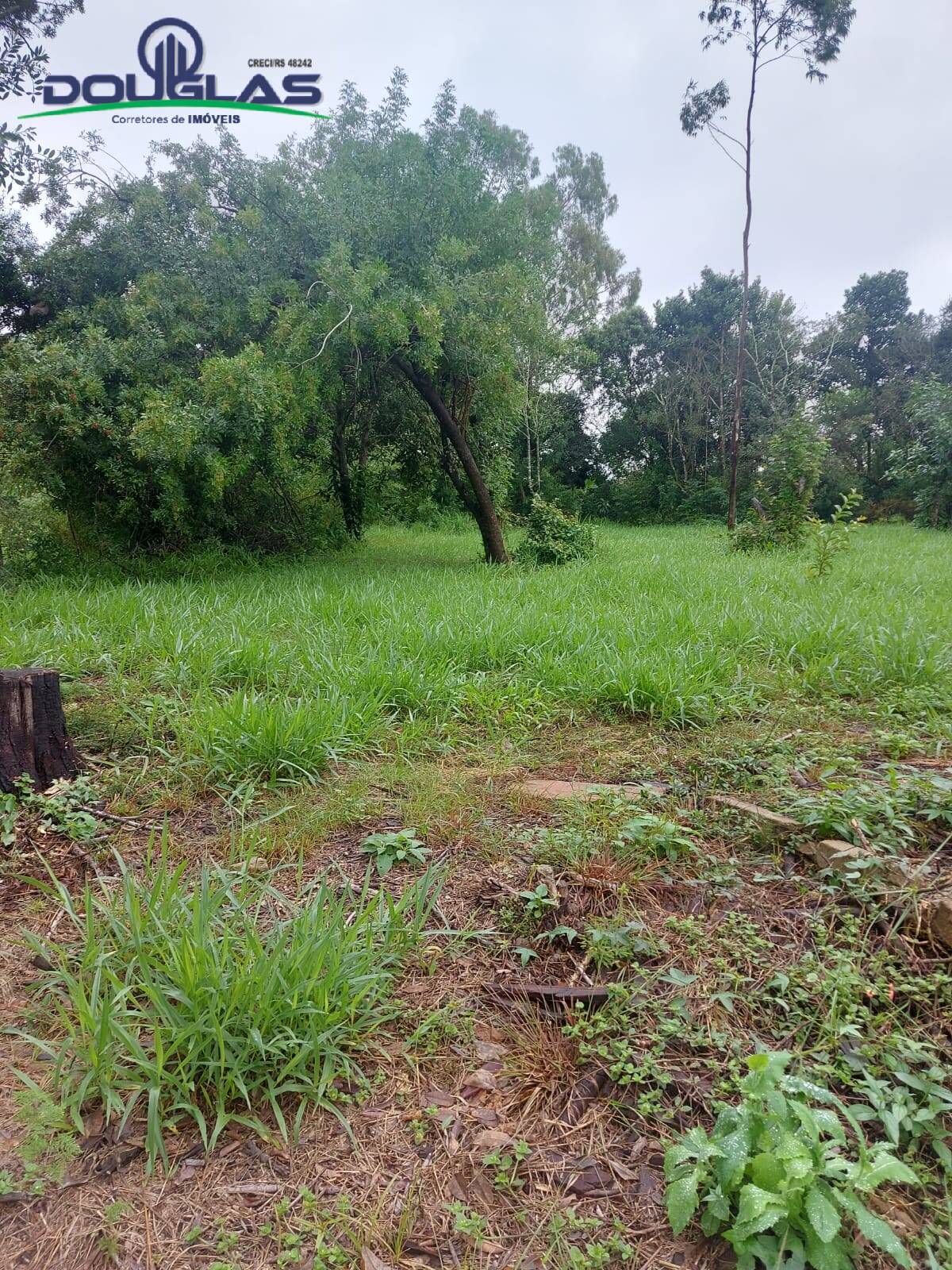 Terreno, 600 m² - Foto 6