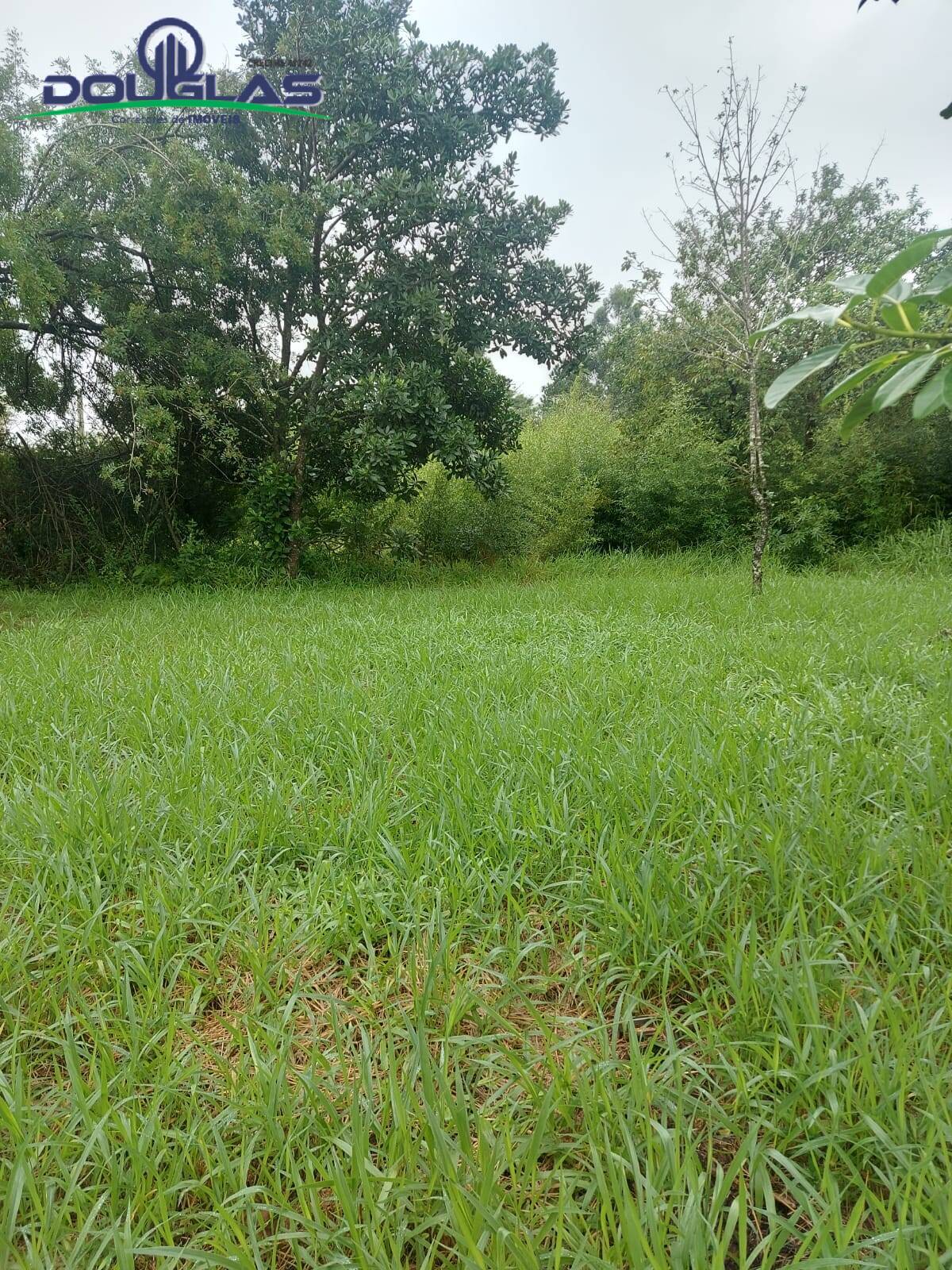 Terreno, 600 m² - Foto 7