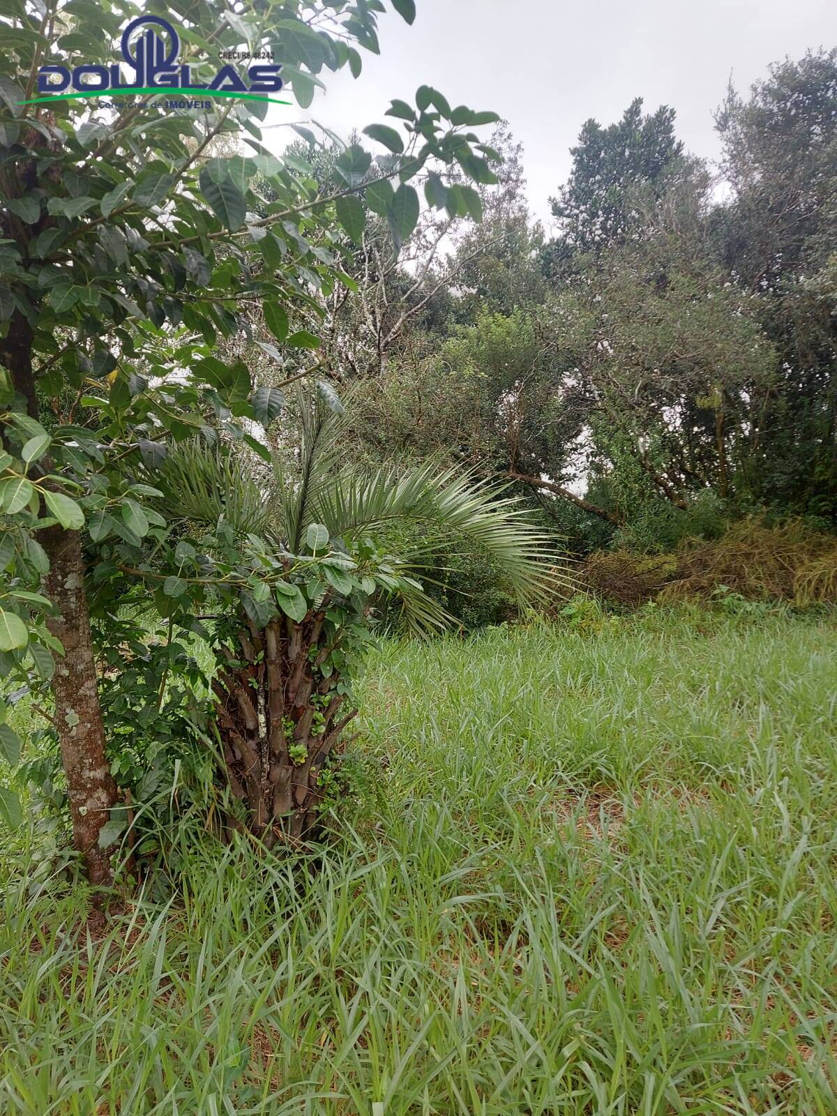 Terreno, 600 m² - Foto 9