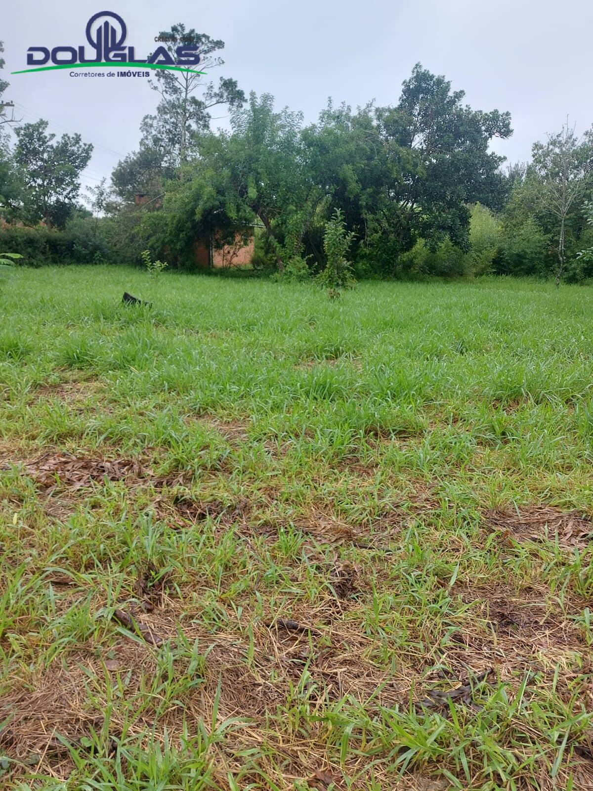 Terreno, 600 m² - Foto 10