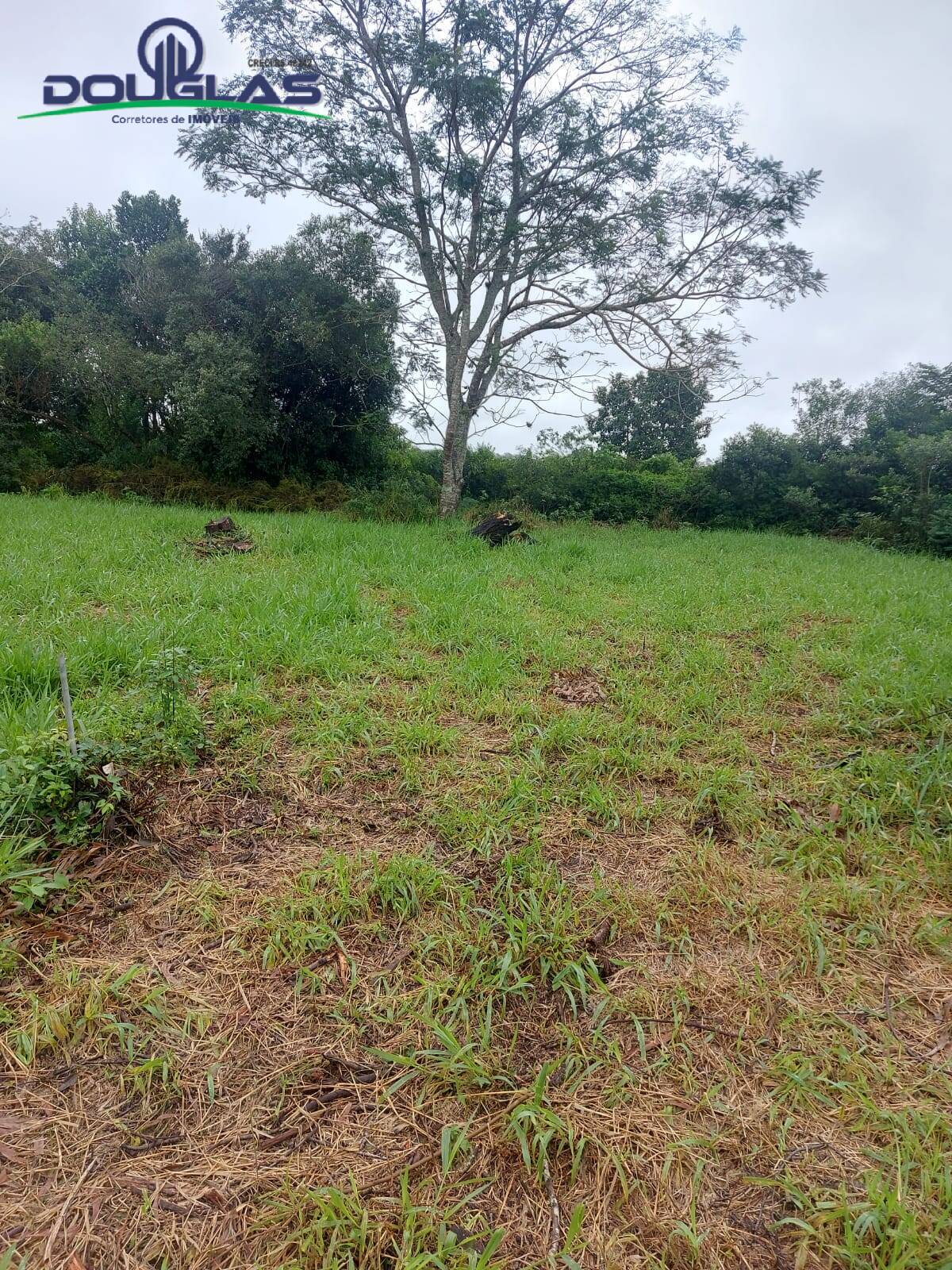 Terreno, 600 m² - Foto 12