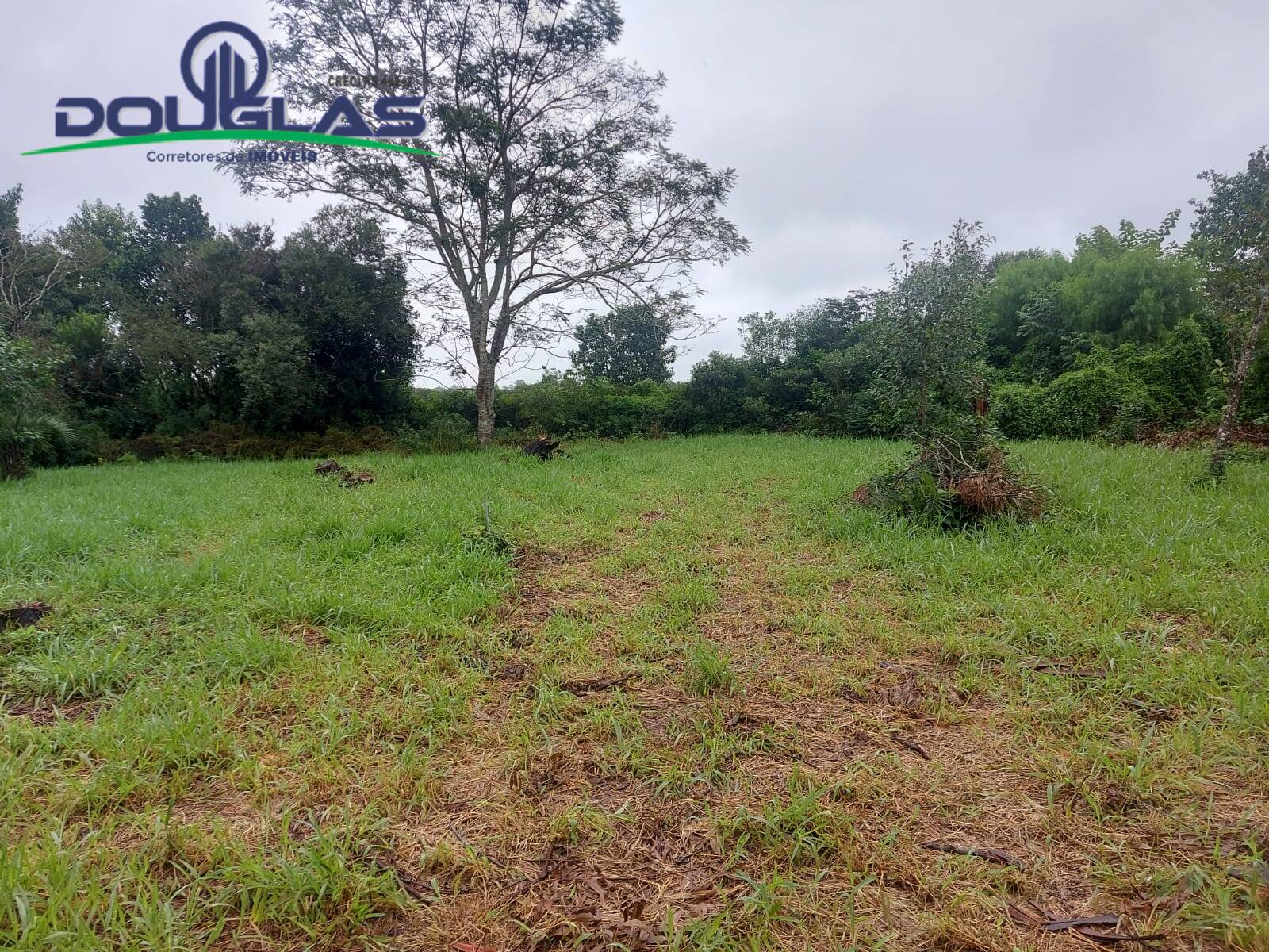 Terreno, 600 m² - Foto 5