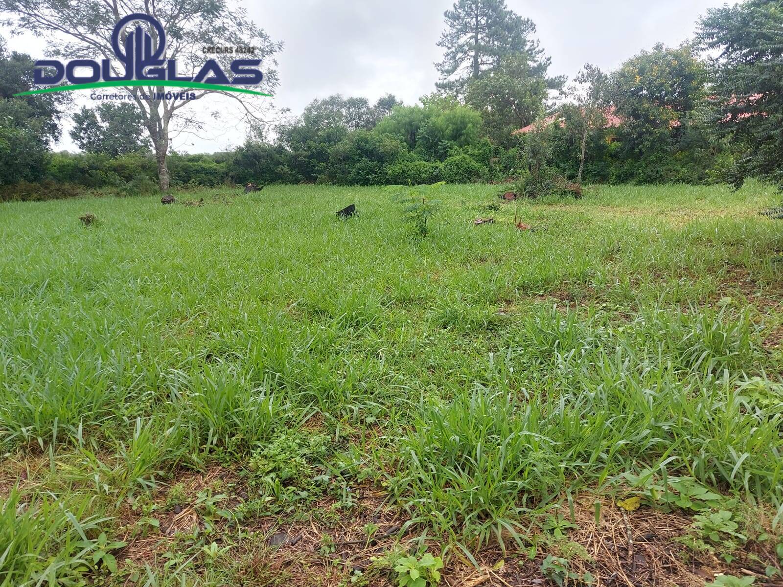 Terreno, 600 m² - Foto 3