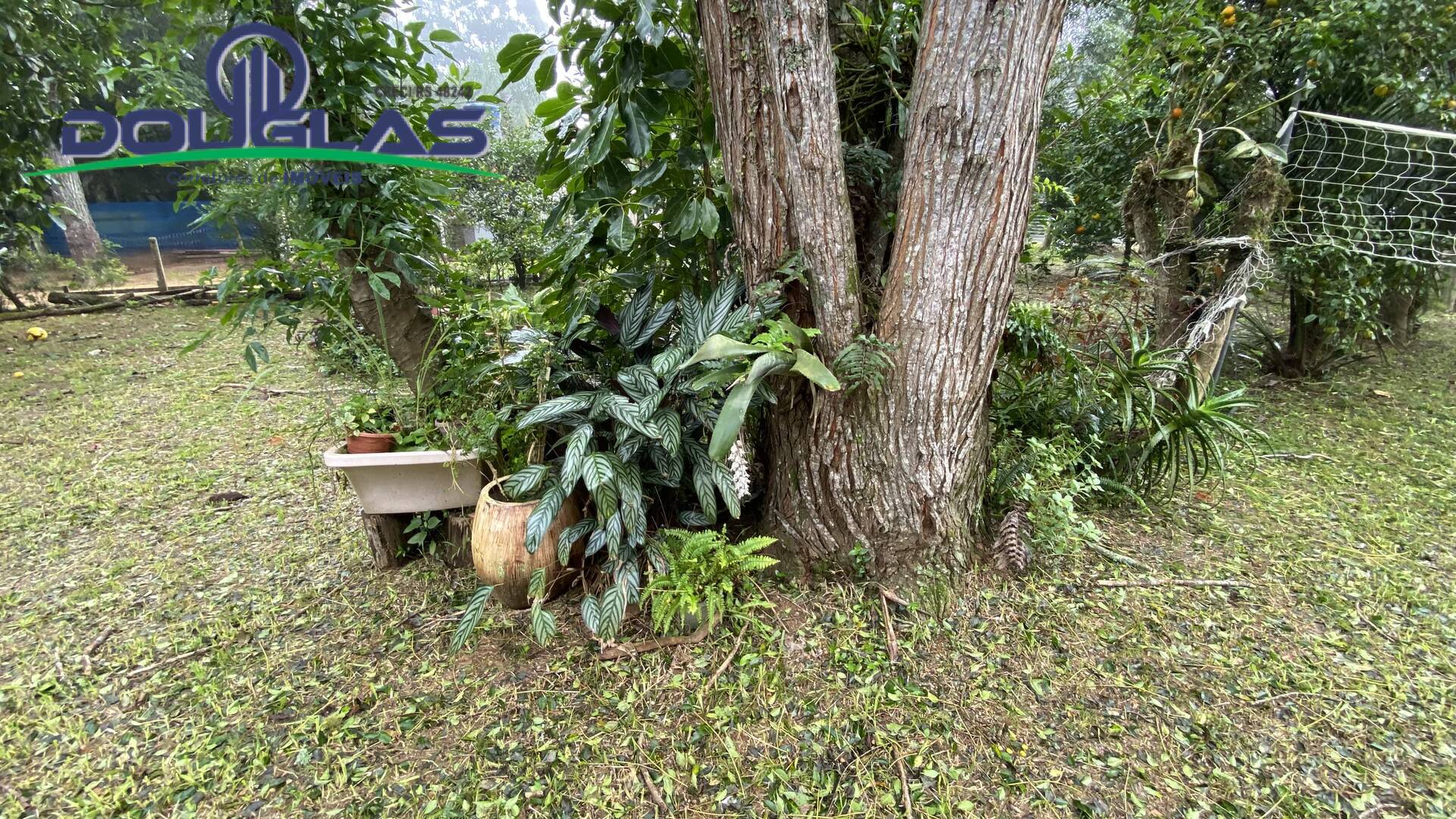 Casa, 4 quartos, 100 m² - Foto 17