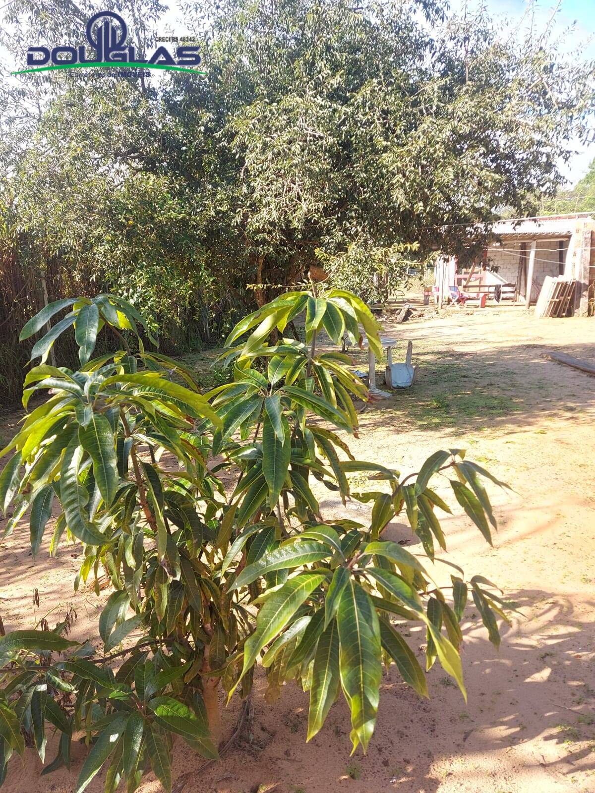 Casa, 2 quartos - Foto 11