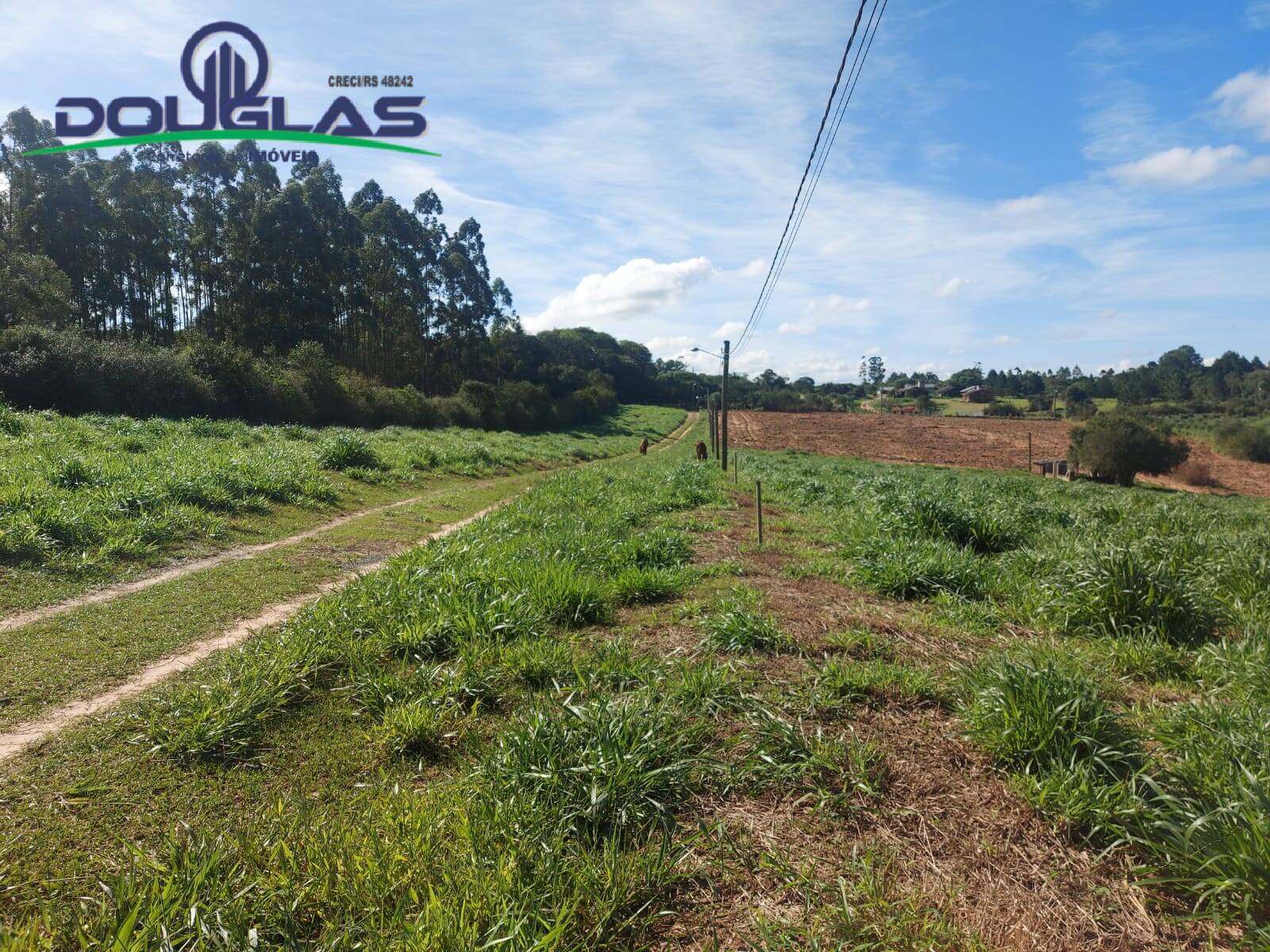 Chácara à venda com 3 quartos - Foto 2