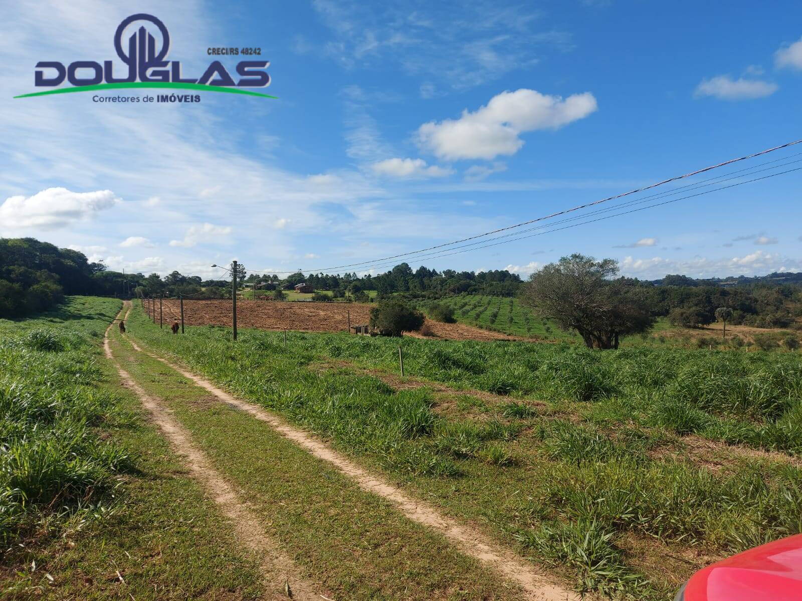 Chácara à venda com 3 quartos - Foto 4