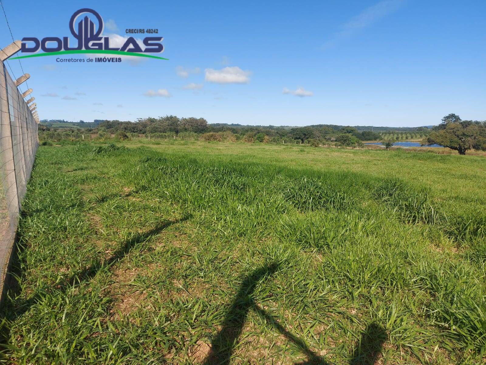 Chácara à venda com 3 quartos - Foto 6