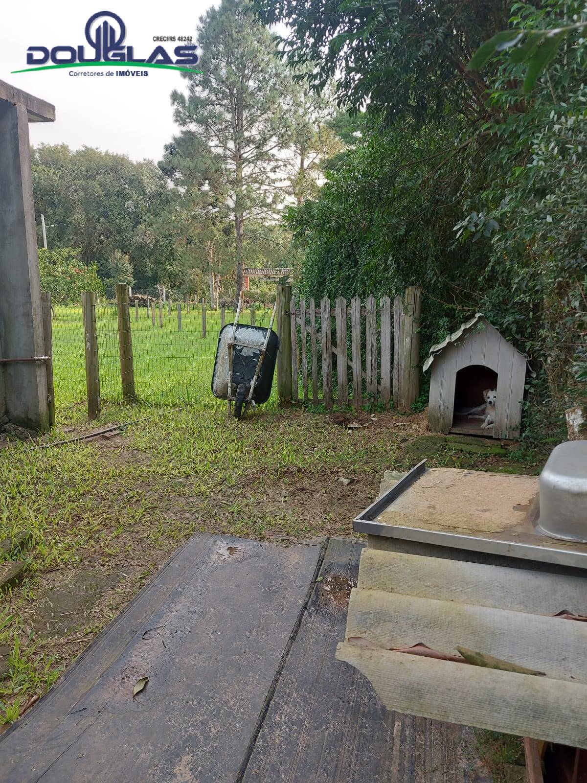 Casa, 3 quartos - Foto 30