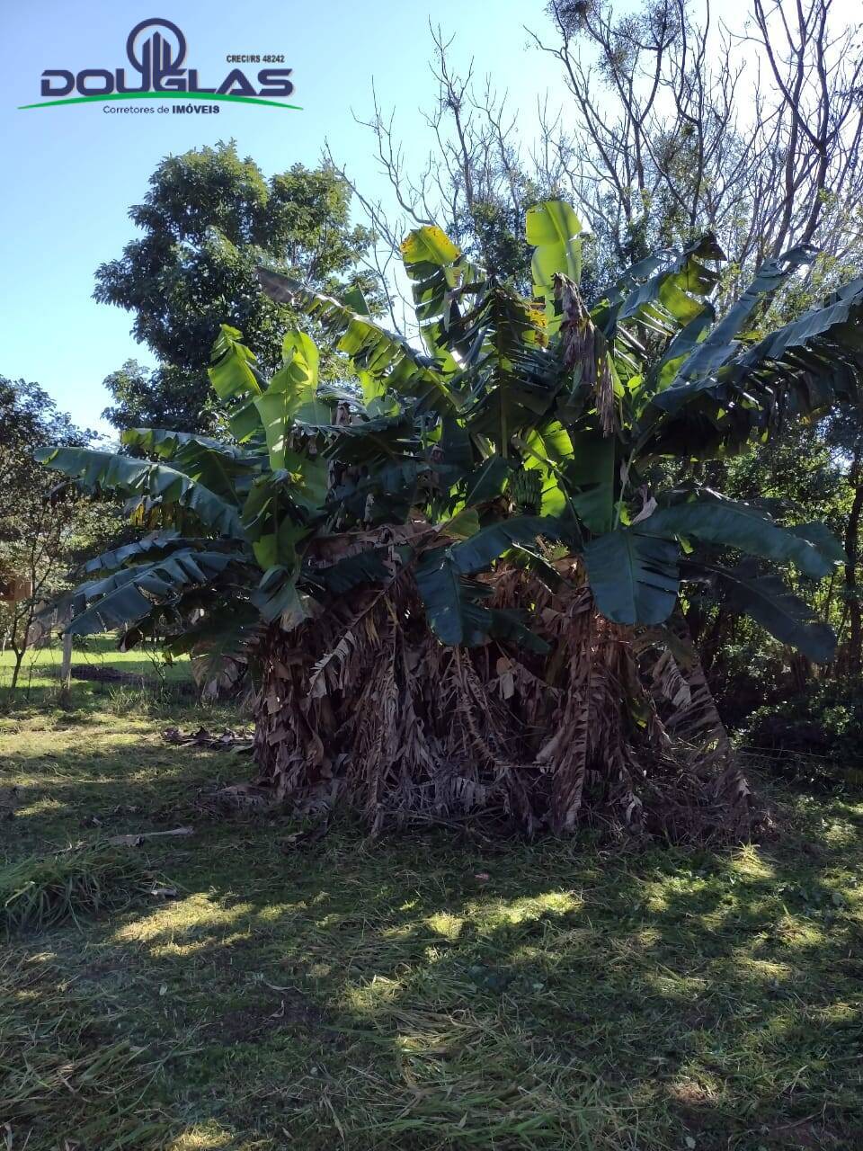 Terreno, 615 m² - Foto 6