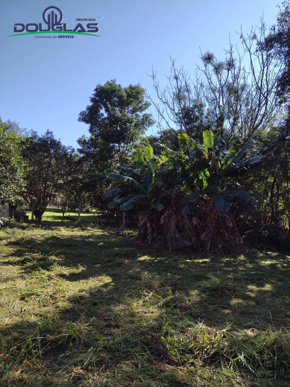 Terreno, 615 m² - Foto 5