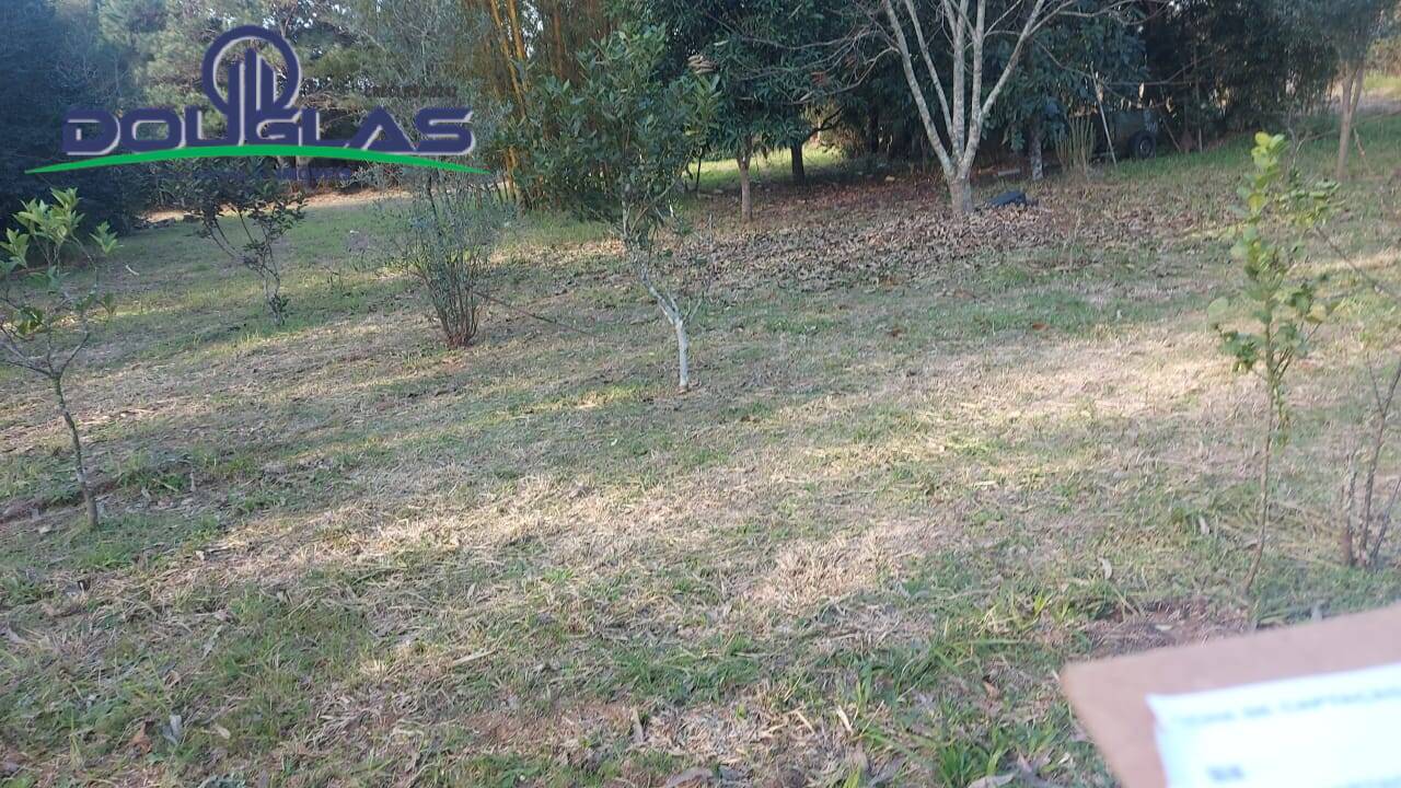 Casa, 3 quartos - Foto 22