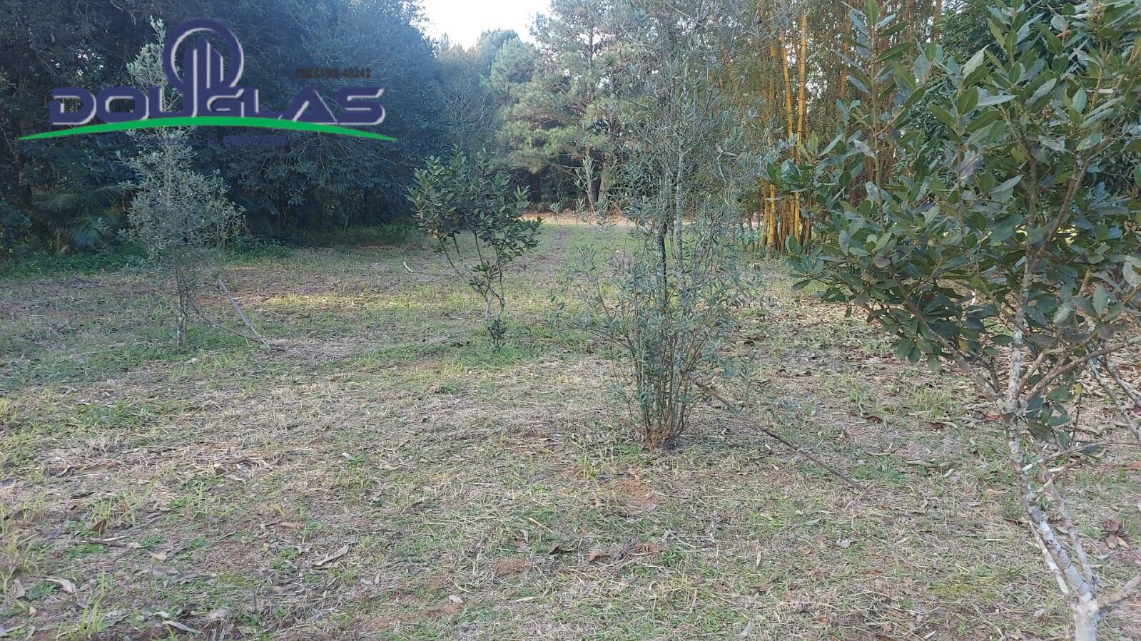 Casa, 3 quartos - Foto 23