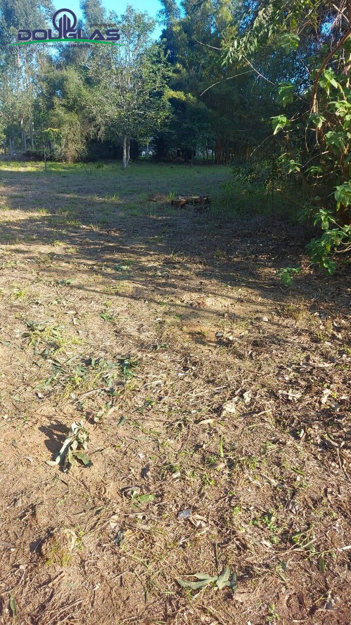 Casa, 3 quartos - Foto 27