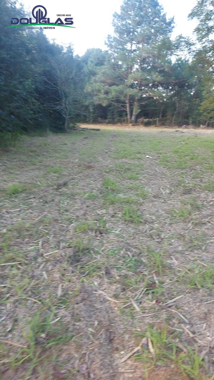 Casa, 3 quartos - Foto 25