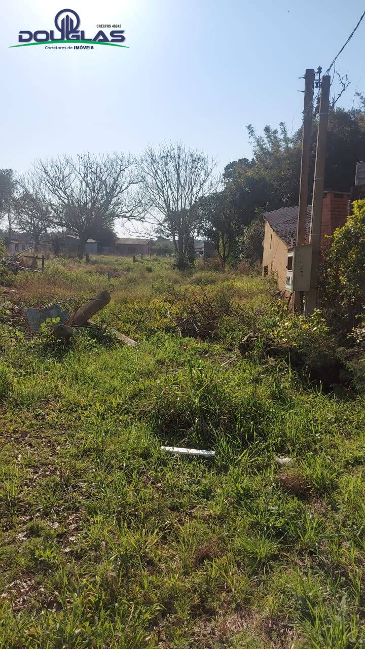 Terreno, 300 m² - Foto 3