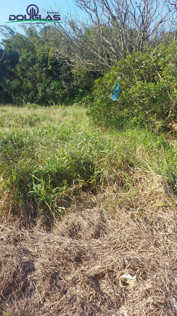 Terreno, 300 m² - Foto 5