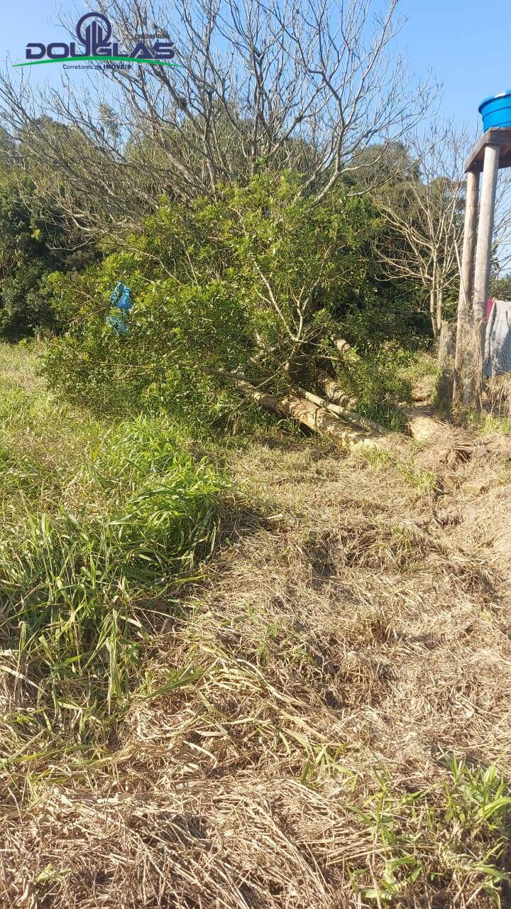 Terreno, 300 m² - Foto 7