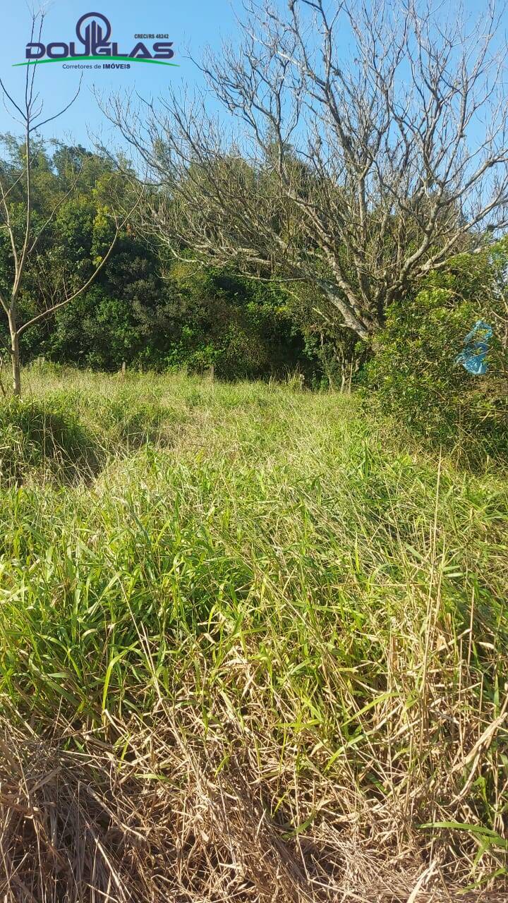 Terreno, 300 m² - Foto 3