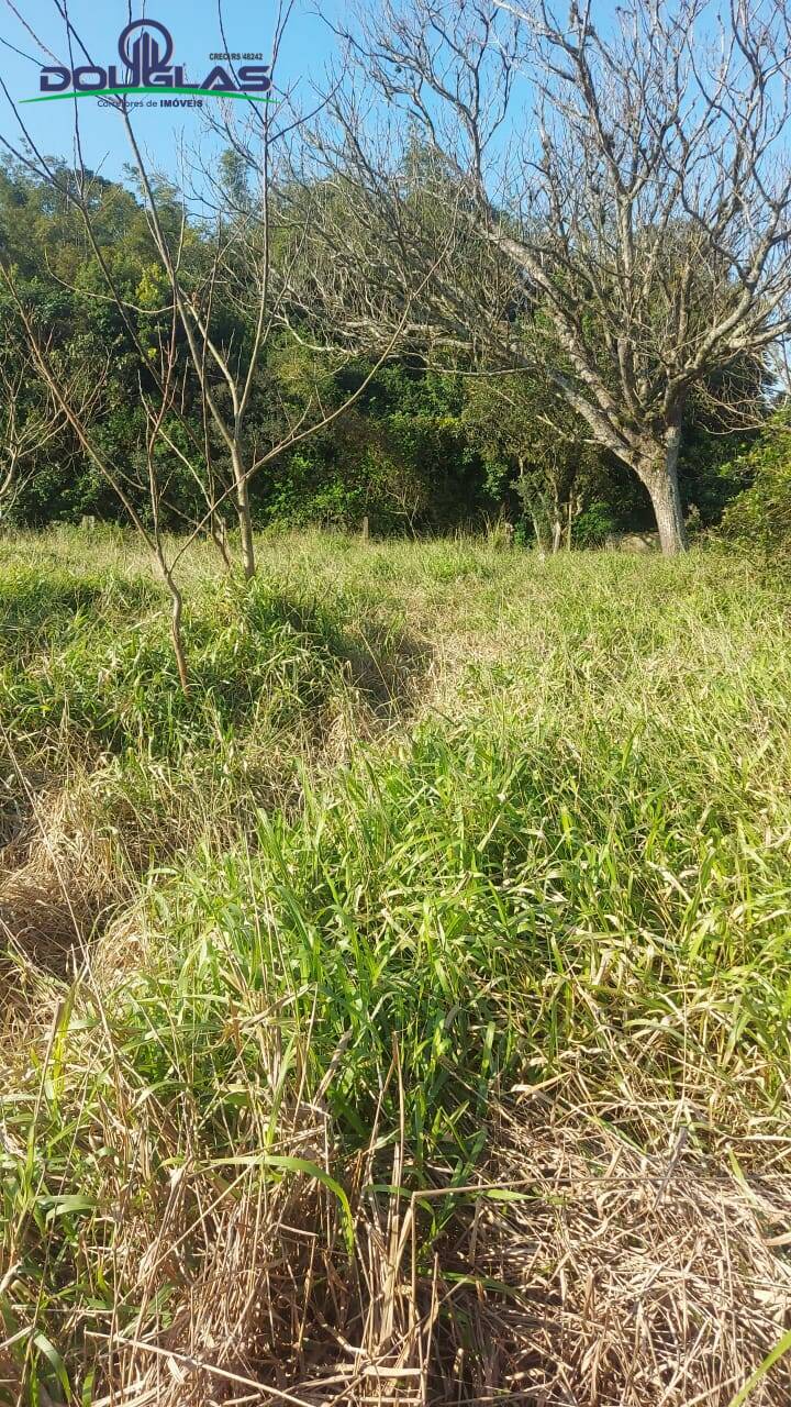 Terreno, 300 m² - Foto 4