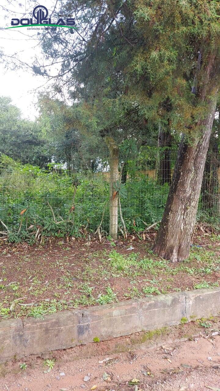 Terreno, 600 m² - Foto 2