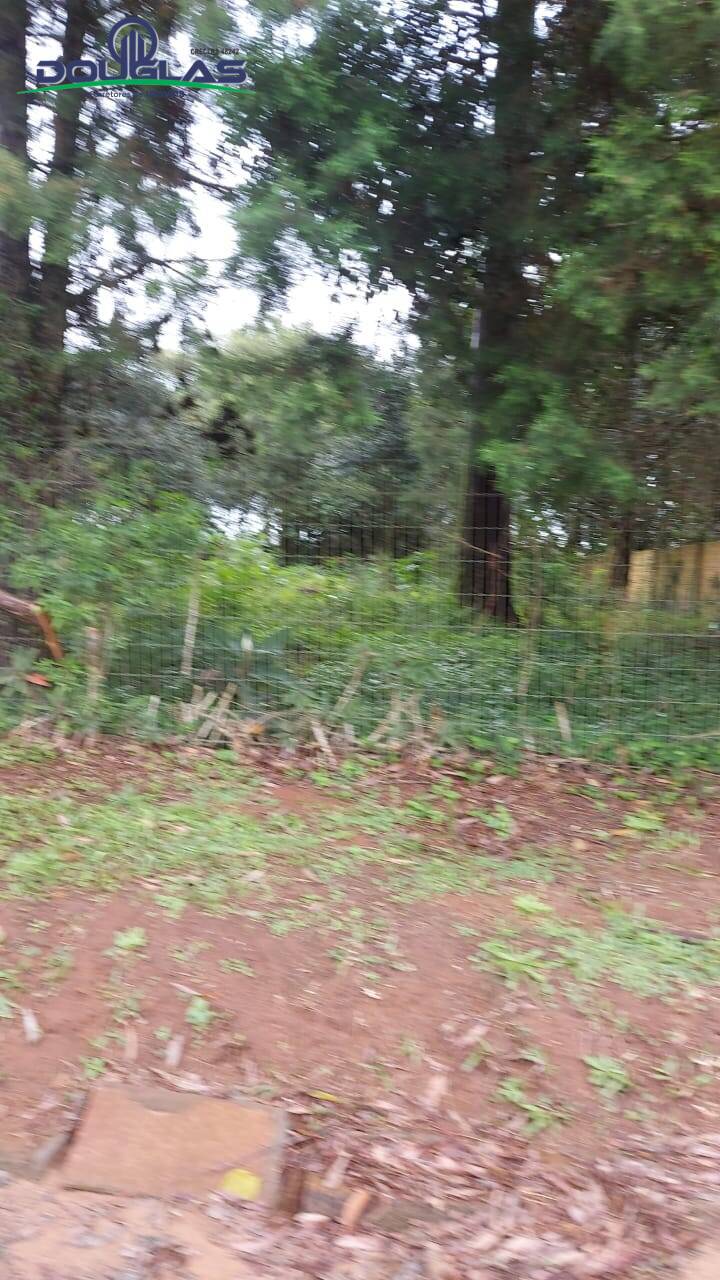 Terreno, 600 m² - Foto 8