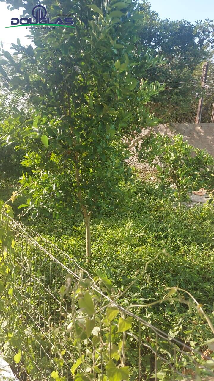 Casa, 2 quartos - Foto 16