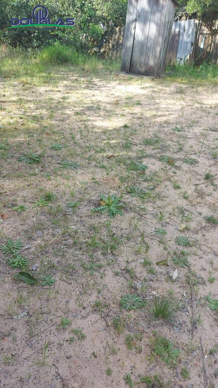 Chácara, 4 quartos, 5000 m² - Foto 14