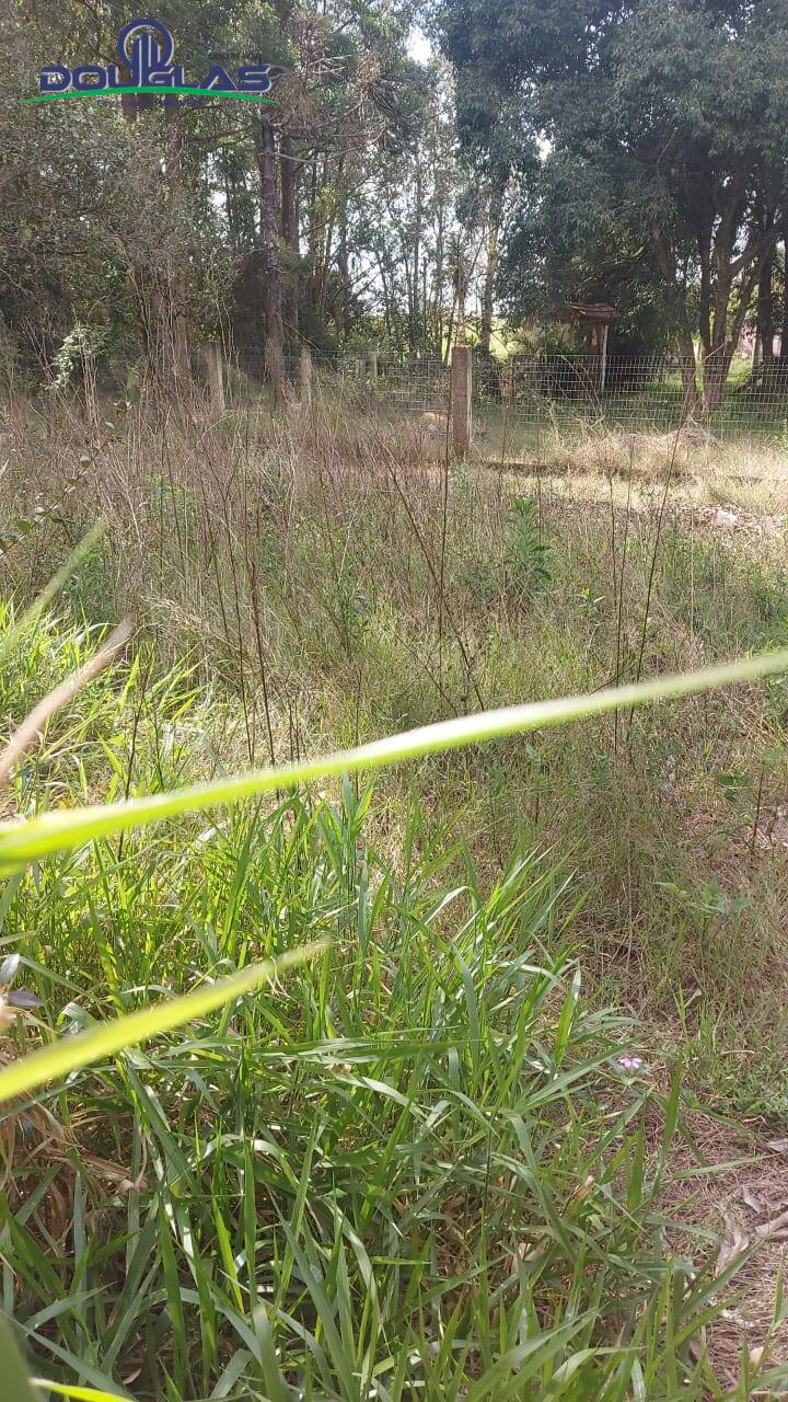 Chácara, 4 quartos, 5000 m² - Foto 15