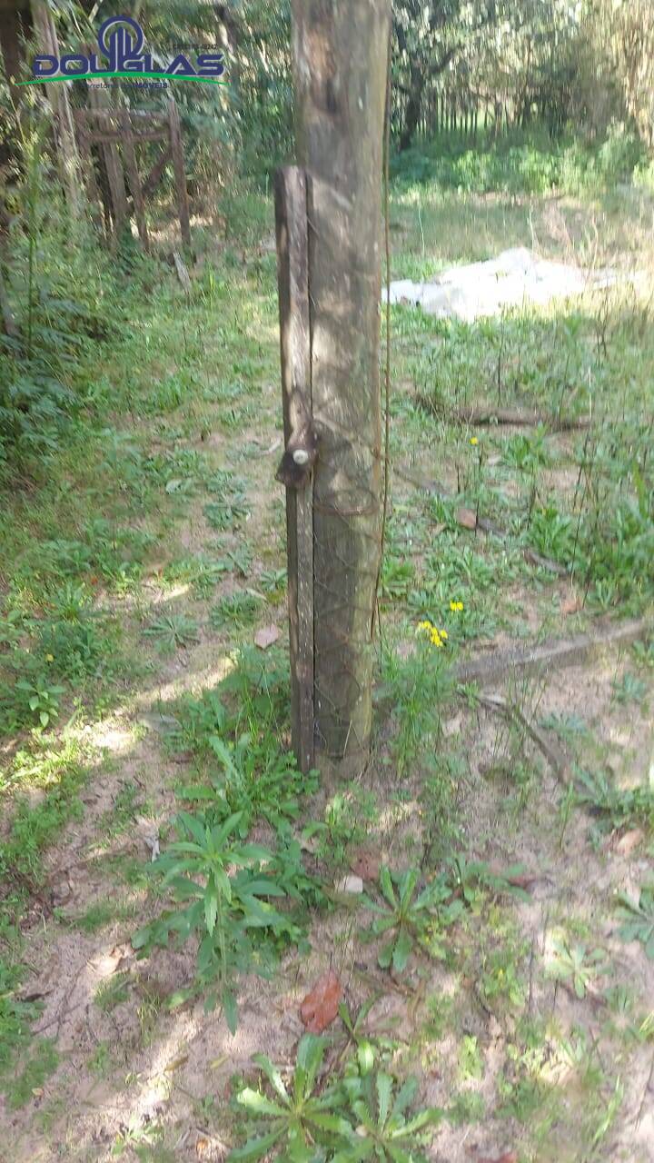 Chácara, 4 quartos, 5000 m² - Foto 16