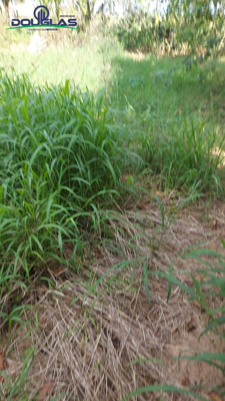 Chácara, 4 quartos, 5000 m² - Foto 18