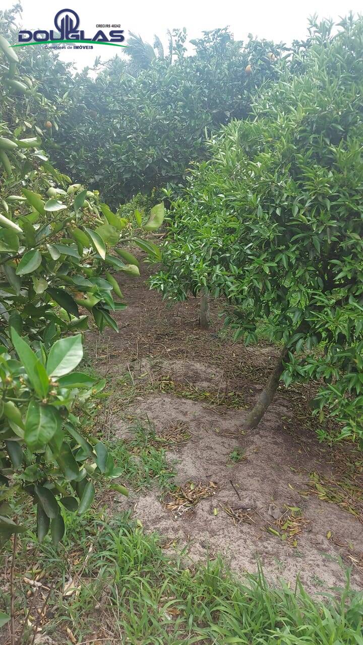 Casa, 1 quarto - Foto 7