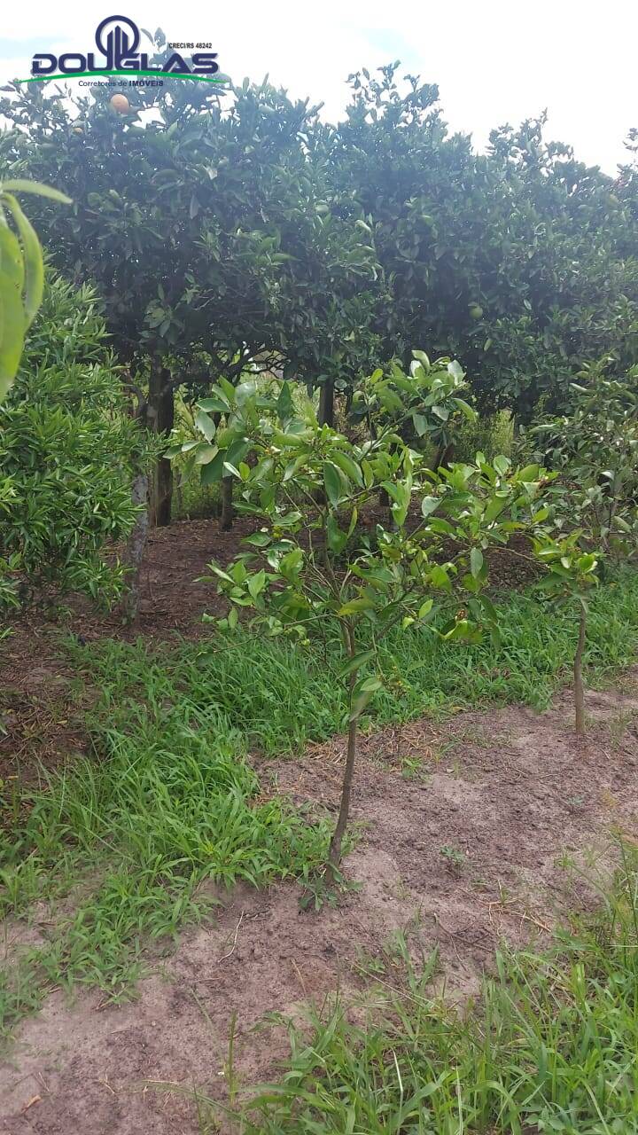 Casa, 1 quarto - Foto 6