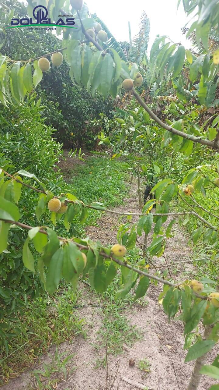 Casa, 1 quarto - Foto 10