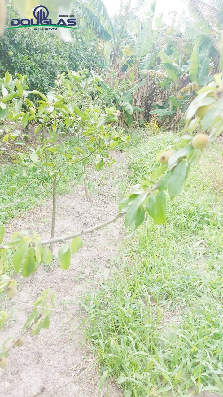 Casa, 1 quarto - Foto 11